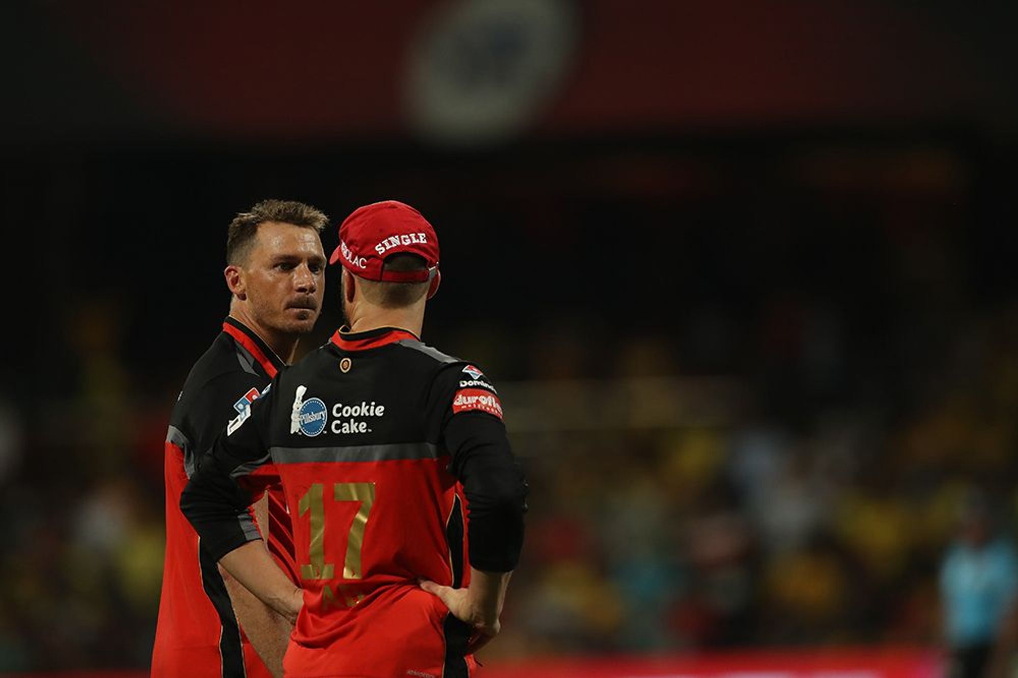 dale steyn rcb